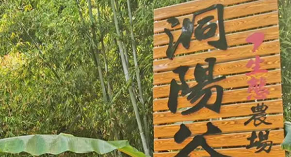廣有合頁2019踏春拓展--經(jīng)歷中成長，成長中經(jīng)歷