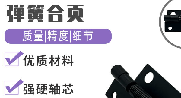 彈簧合頁，廣有制造|廣有五金&東莞合頁