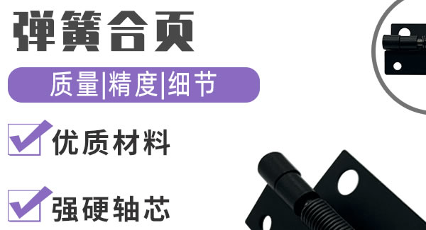 彈簧合頁(yè)，引領(lǐng)生活|廣有五金&東莞合頁(yè)?