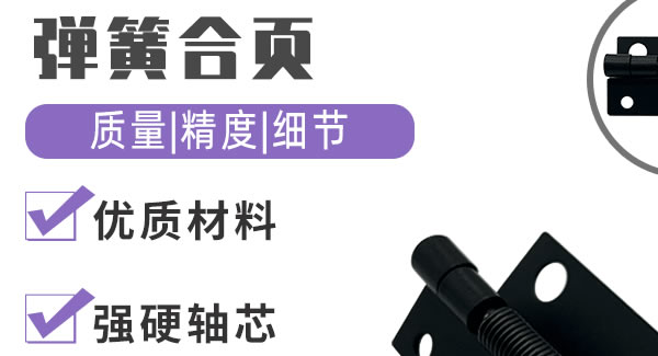 彈簧合頁，你身邊信賴的合頁|廣有五金&東莞合頁?